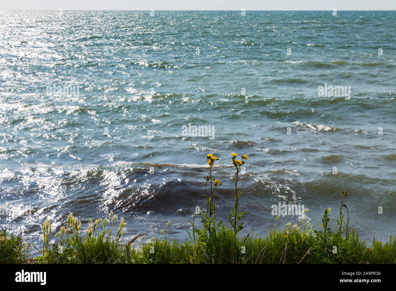 Bornholm Rønne ; ; Kuestenweg, Meer, Himmel, Horizont, Abendlicht Banque D'Images