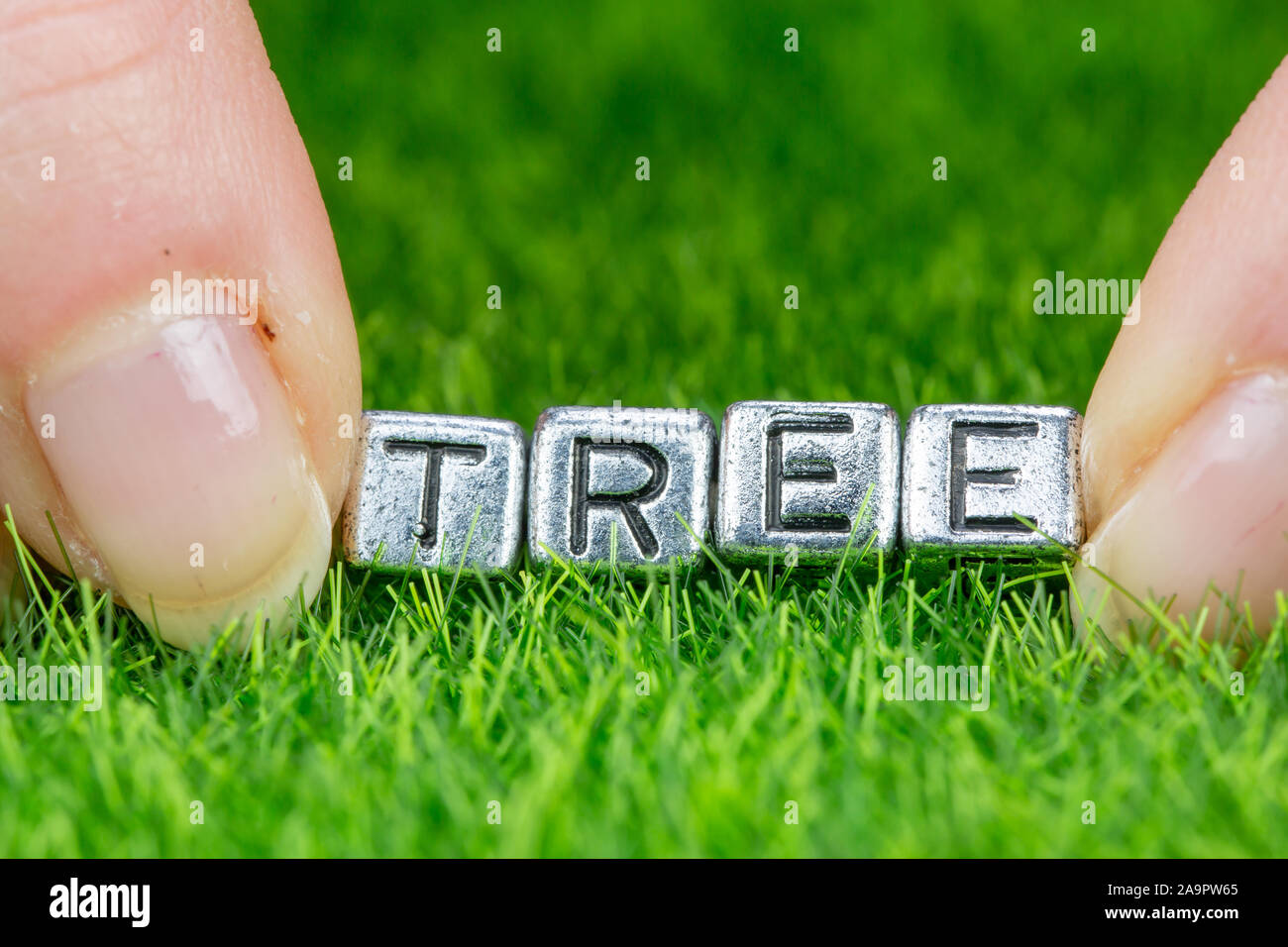Close up on mot arbre écrit en lettres métalliques fixées sur l'herbe et s'est tenue entre les doigts de la femme. Concept de biodiversité Contexte Banque D'Images