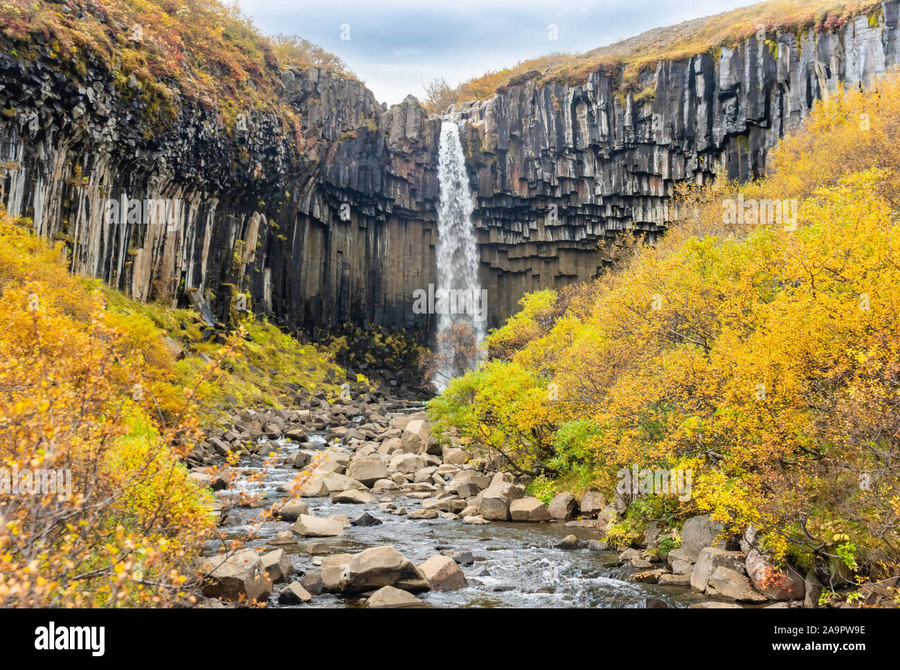 Svartifoss, la cascade noire, célèbre destination touristique populaire en Islande Skaftafel parc national. Automne, automne Banque D'Images
