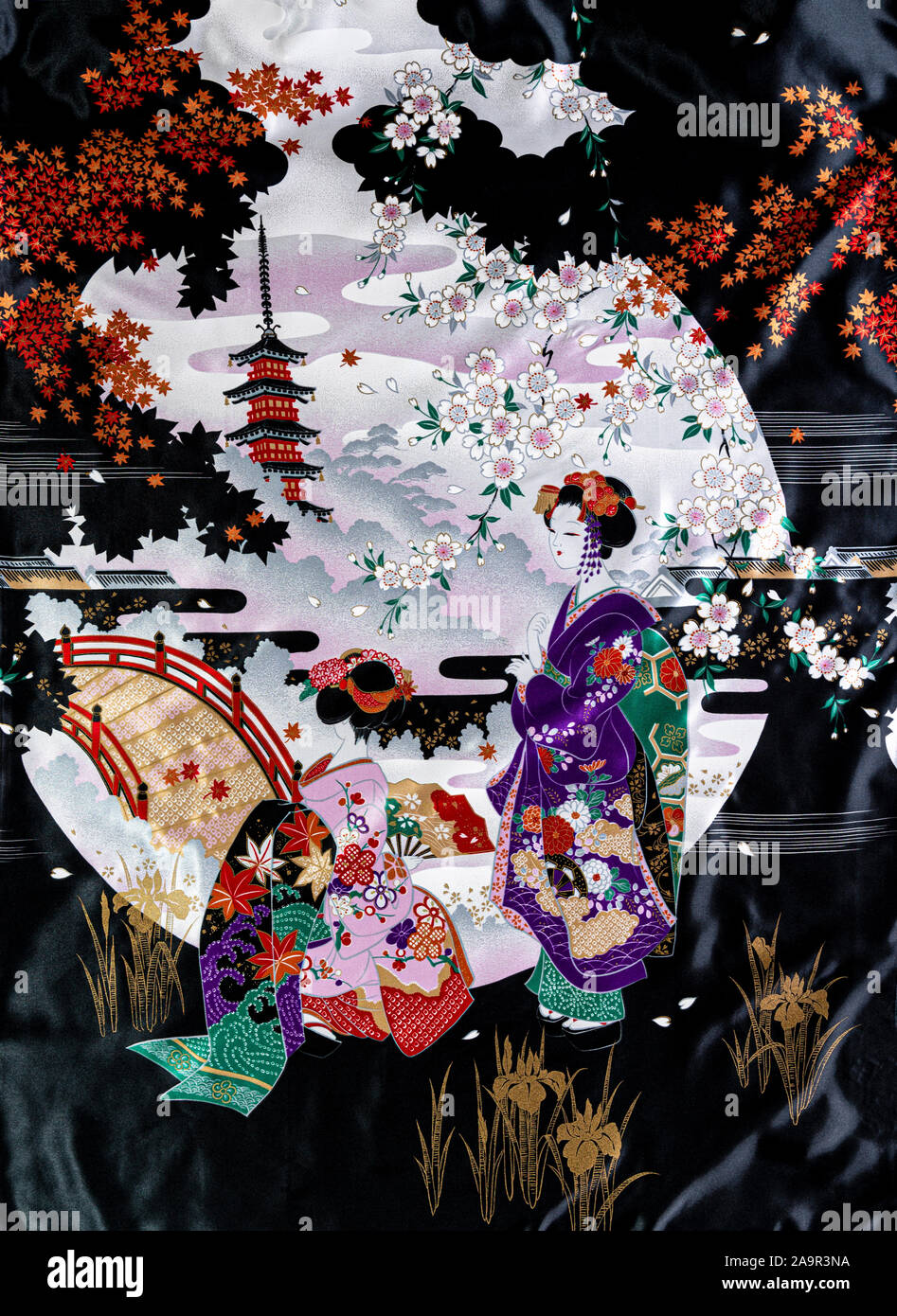 Style Kimono japonais moderne de vêtements en soie. Banque D'Images