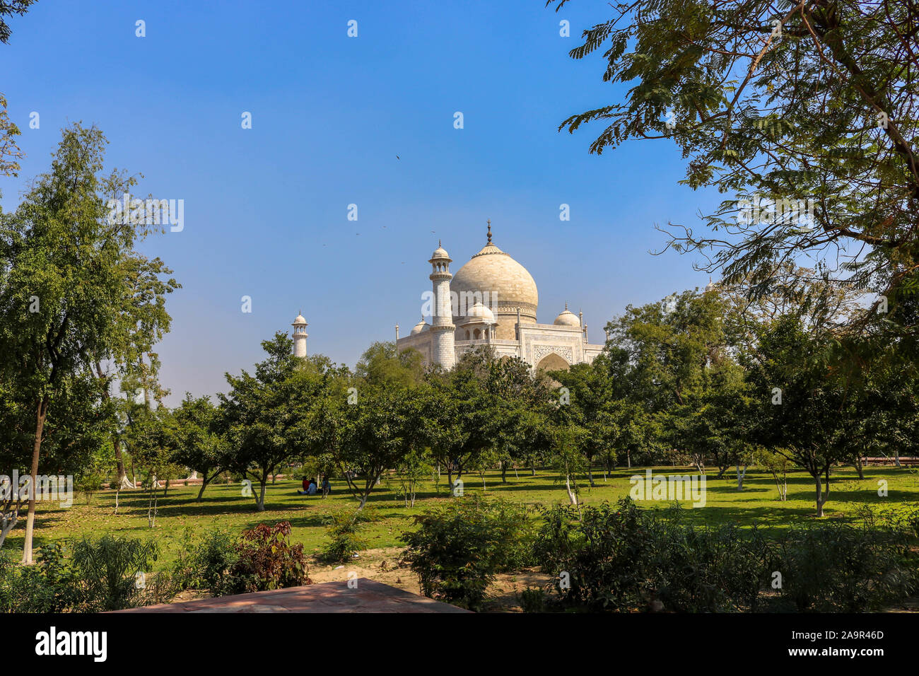 Vue à distance du Taj Mahal. Le Taj Mahal est un mausolée en marbre blanc ivoire sur la rive sud de la rivière Yamuna dans la ville indienne d'Agra. Banque D'Images