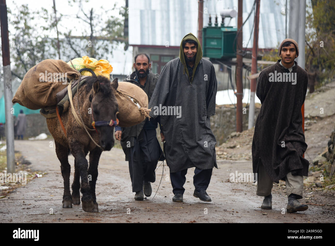 Srinagar, Jammu-et-Cachemire, en Inde. 17 novembre, 2019. Peuple cachemiri à pied avec un poney pendant matin froid dans la banlieue de Srinagar.Cachemire a été divisé entre l'Inde et le Pakistan depuis leur partition et l'indépendance de la Grande-Bretagne en 1947. La région contestée est revendiquée par les deux parties qui ont mené trois guerres sur elle. Credit : Idrees Abbas/SOPA Images/ZUMA/Alamy Fil Live News Banque D'Images