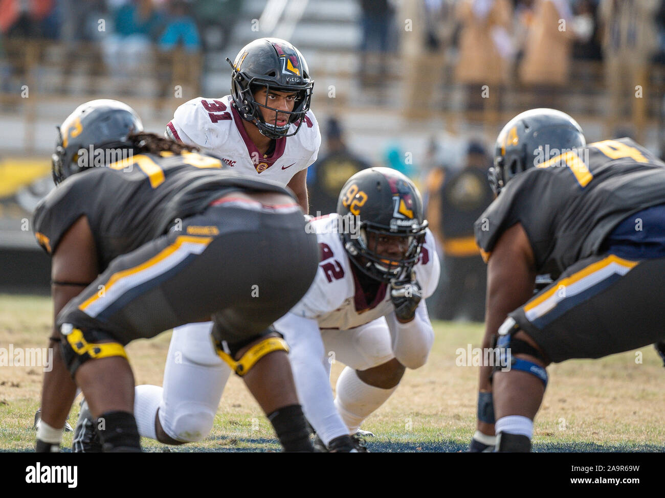 16 novembre 2019 - Greensboro, NC, États-Unis : Bethune Cookman Devin linebacker James (31) au cours de NCAA Football action de jeu entre Bethune Cookman Wildcats et North Carolina A&T Aggies. NC A&T défait BCU partie arrière 44-17 à BB&T Stadium à Greensboro, N.C. Romeo T Guzman/CSM Banque D'Images