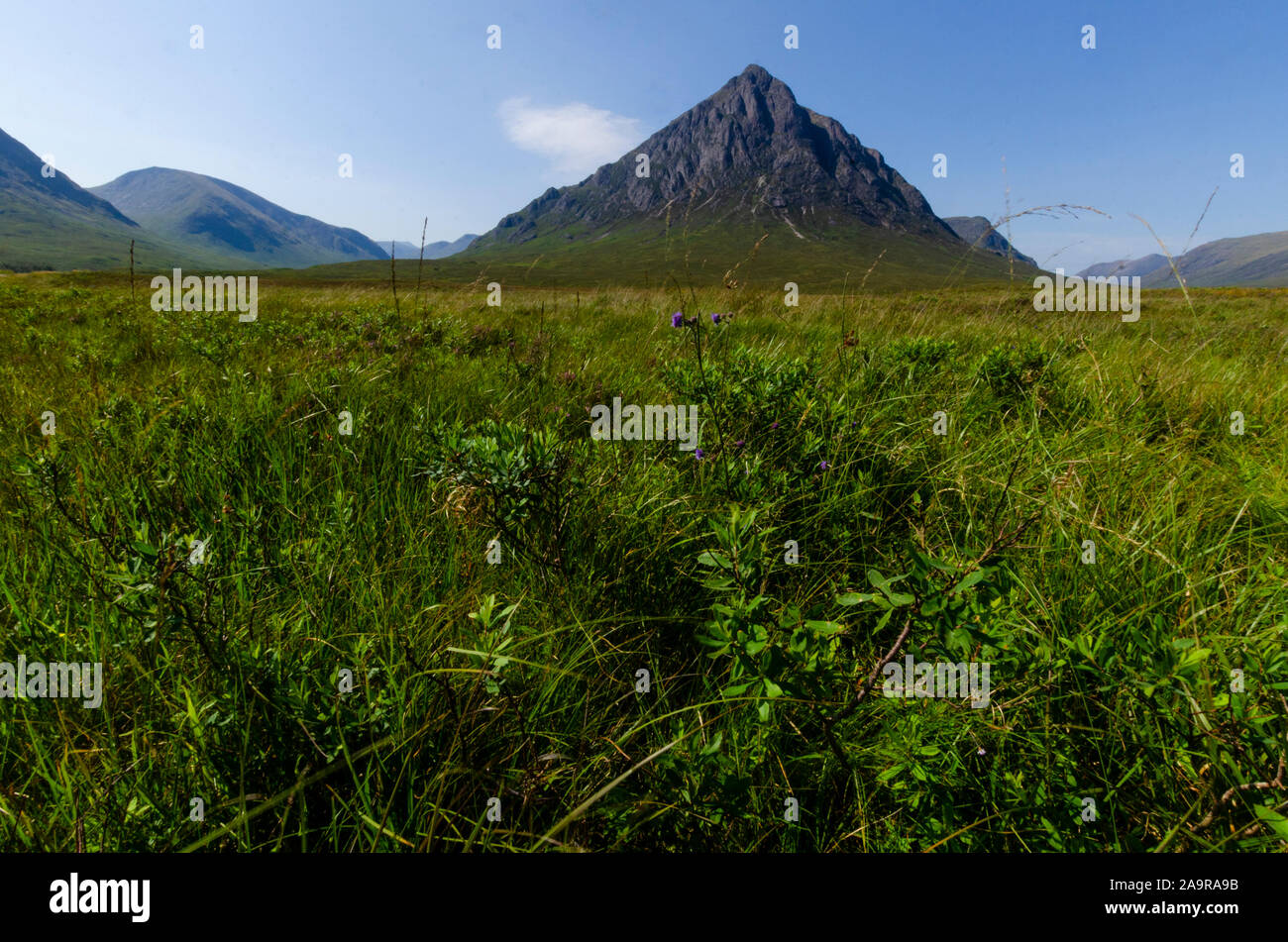 Buachaille Etive Mor Glen Coe Scotland UK Banque D'Images