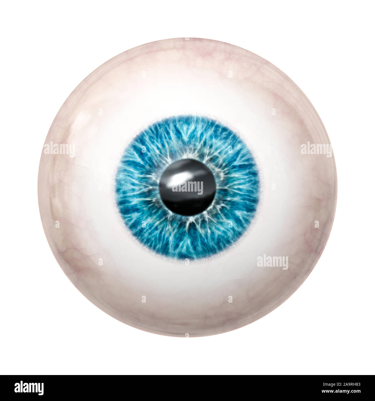 L'image d'une belle blue eye ball Banque D'Images
