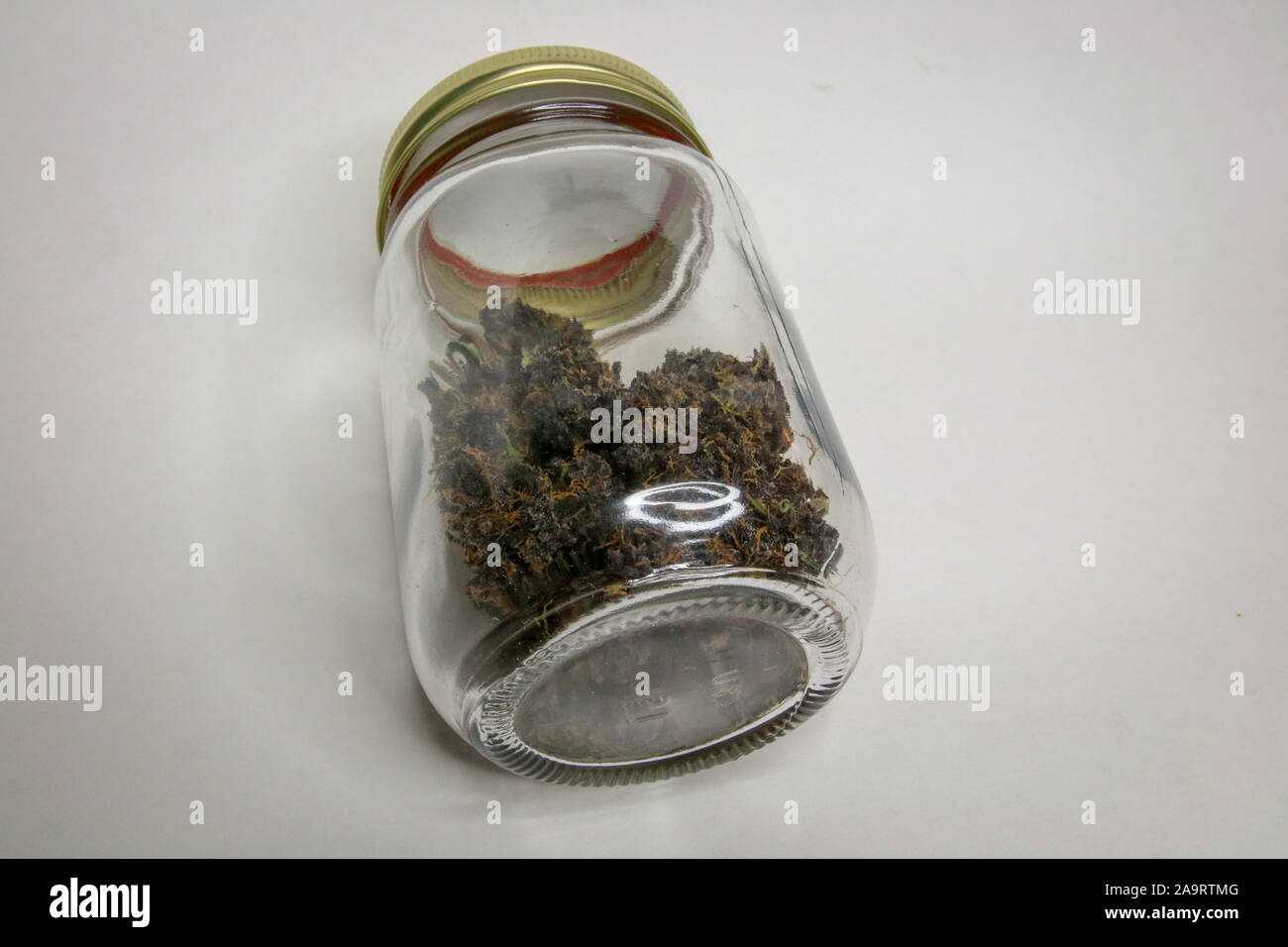 Pot Mason de cannabis prises pendant le séchage. La déformation est l'enclume, une indica. Cultivées en Oregon, un état médical juridique et récréatives. Banque D'Images Pot Mason de cannabis prises pendant le séchage. La déformation est l'enclume, une indica. Cultivées en Oregon, un état médical juridique et récréatives. Banque D'Images