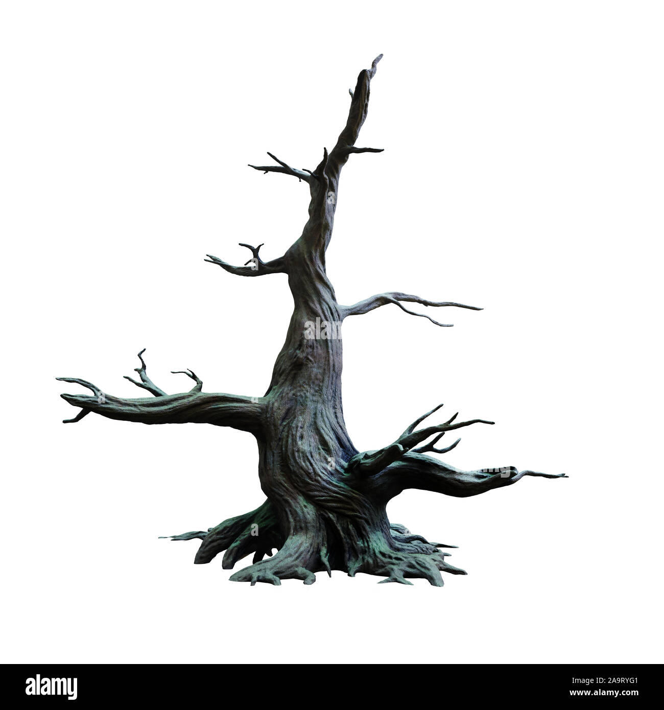 Big old dead tree, isolé sur fond blanc Banque D'Images