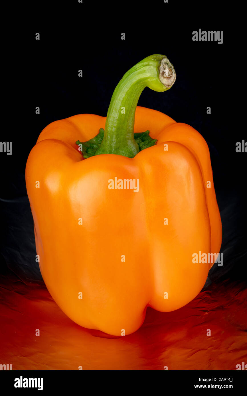 Allumé de manière unique que de poivrons de couleur orange close up Banque D'Images