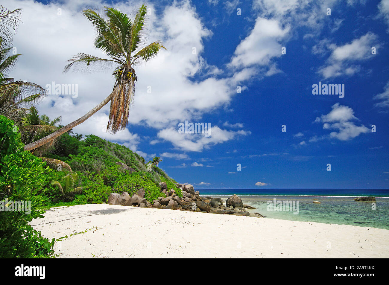 Palmen, Takamaka Bäume und Granitfelsen an der Strand der Anse Forbans, Mahe, Seychellen Banque D'Images