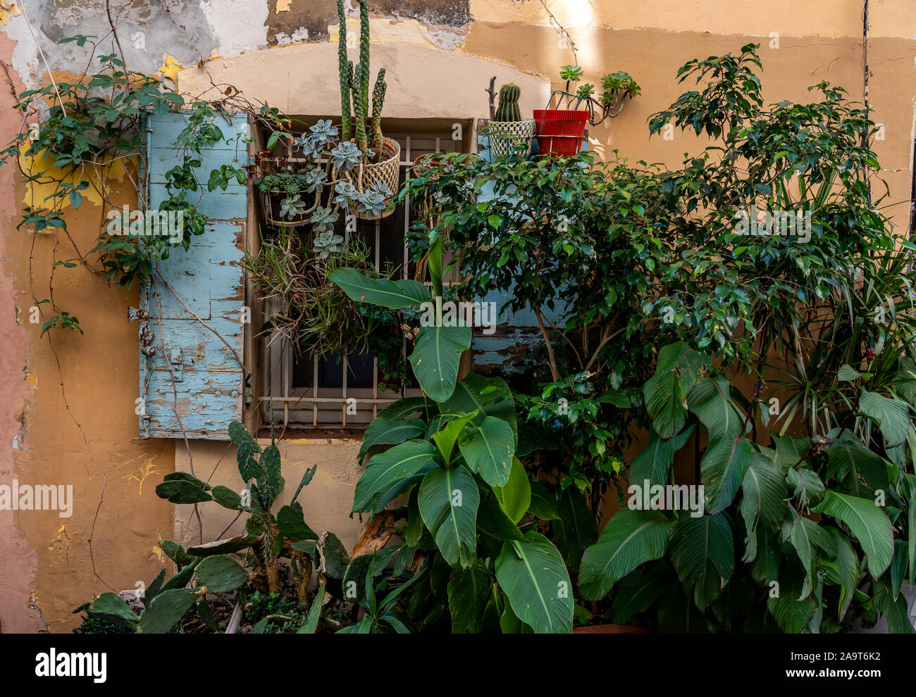 Jolie fenêtre en centre ville de Marseille, France Banque D'Images