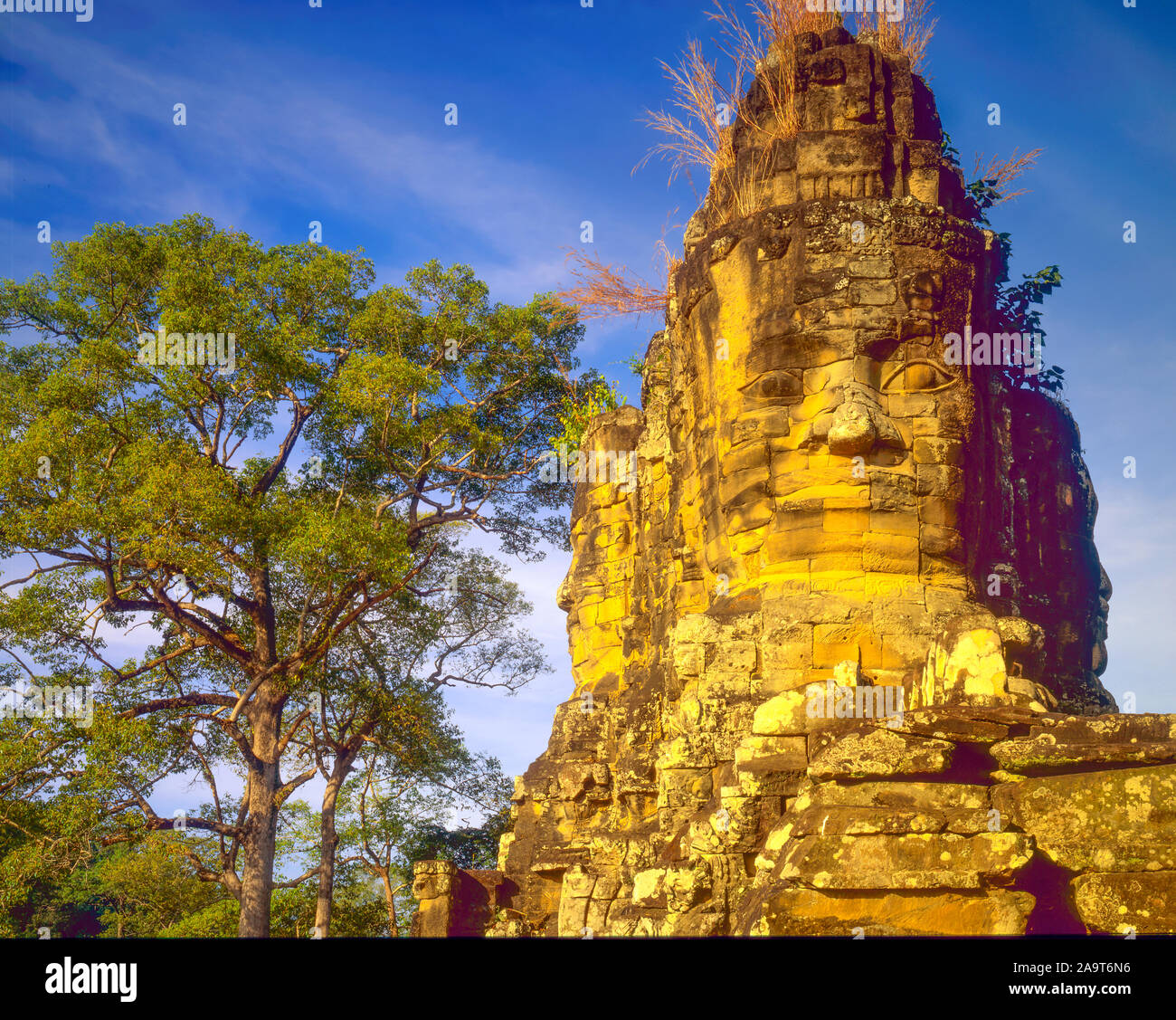 Temple Bayon, Angkor Watt Parc Archéologique, Cambodge, Angkor Thom, Ville fof construit 1100-1200 ANNONCE Khmers ruines de la culture en Asie jungle Banque D'Images