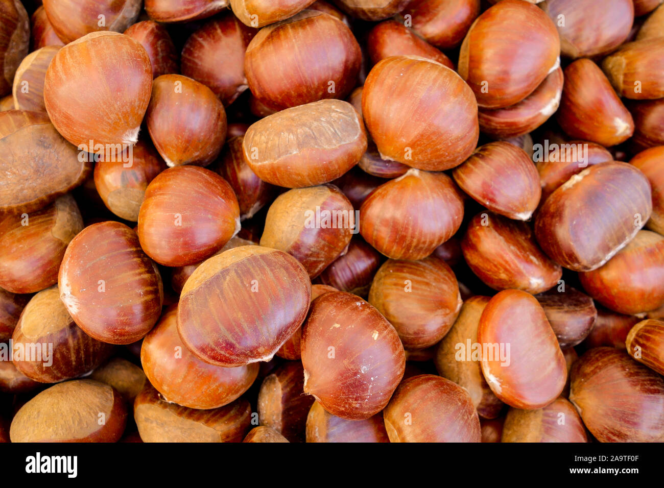 Châtaignes Sain Avec Brown Coquille Dure De La Peau Photo Stock - Alamy