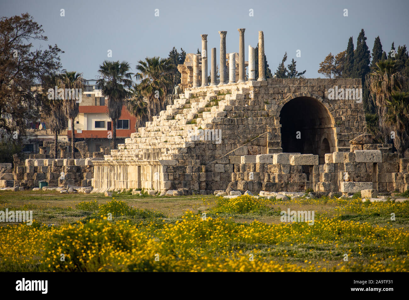 L'hippodrome, Al Bass Site Archéologique, Tyr, Liban Banque D'Images