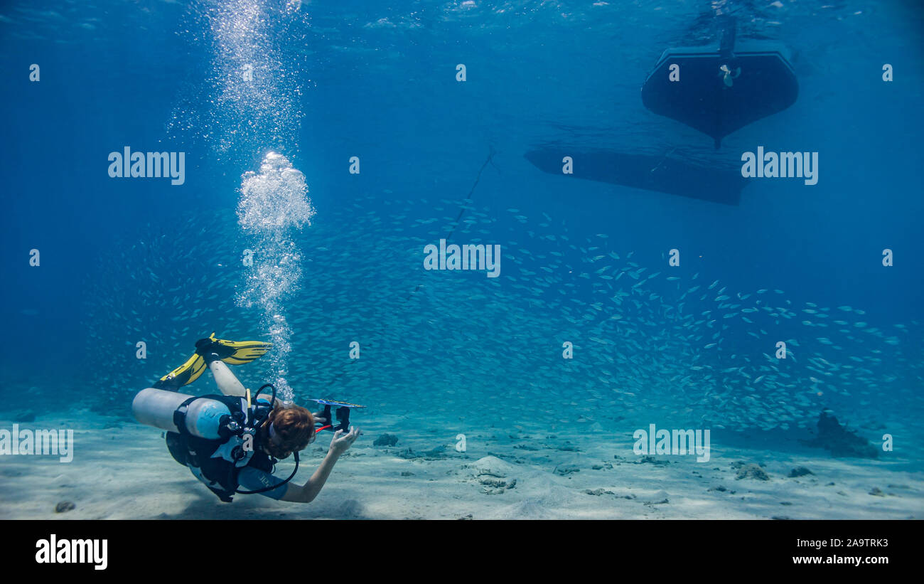 Photo chargée d'action d'une femelle plongeur sous un bateau de pêche en train de photographier école de poisson un filet de pêche sur la belle caraïbe île de Curaçao Banque D'Images