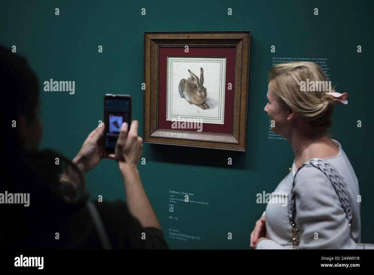 Visiteurs en face de l'aquarelle "Les jeunes partager" par peintre allemand Albrecht Dürer (1502) affichée à son exposition rétrospective à l'Albertina Museum de Vienne, en Autriche. L'exposition présente plus de 200 exemples de dessins de Dürer, imprimés, graphiques et tableaux s'exécute jusqu'au 6 janvier 2020. Banque D'Images