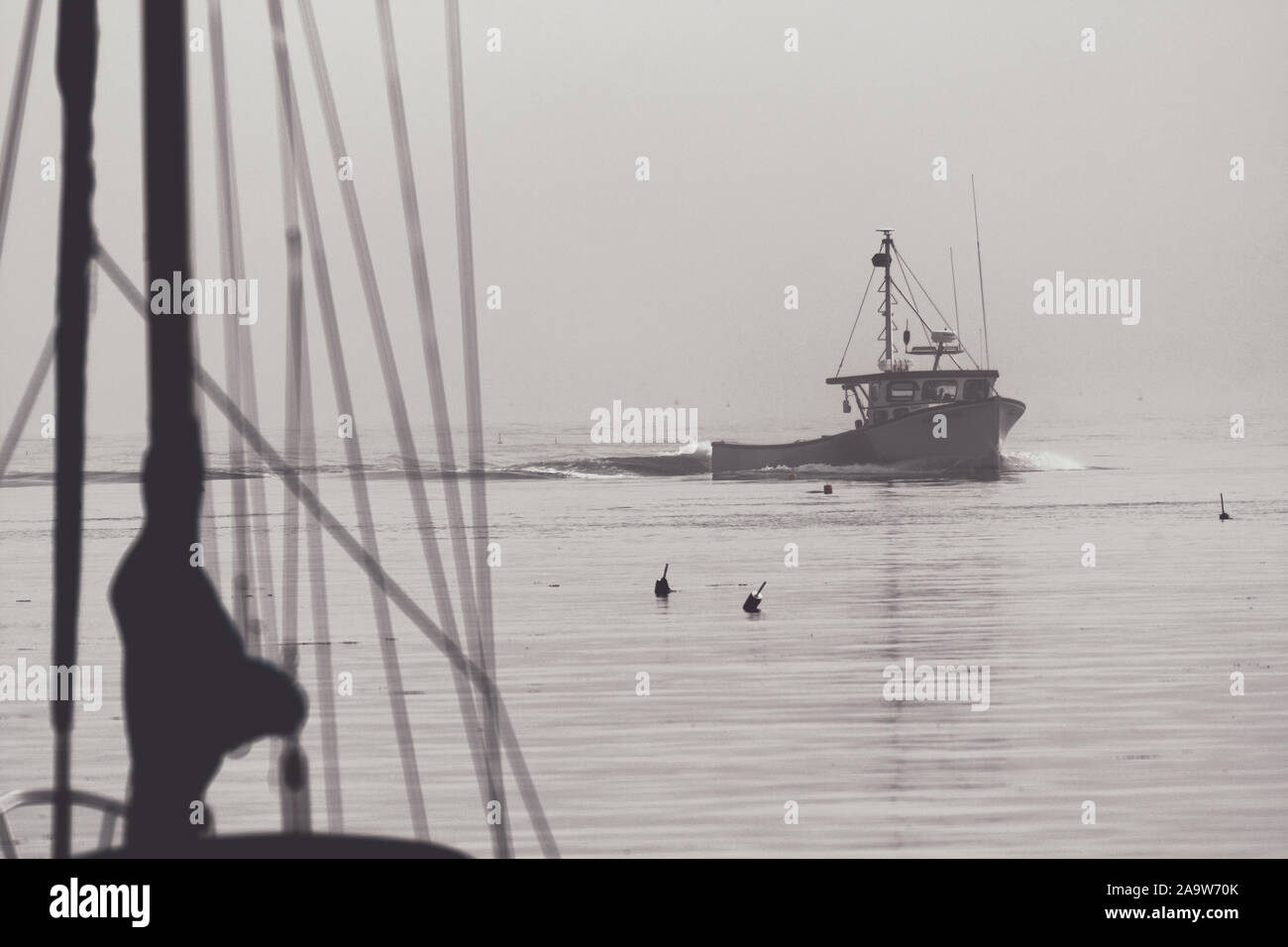 Bateau de homard commercial à travers Morning Mist Maine Banque D'Images