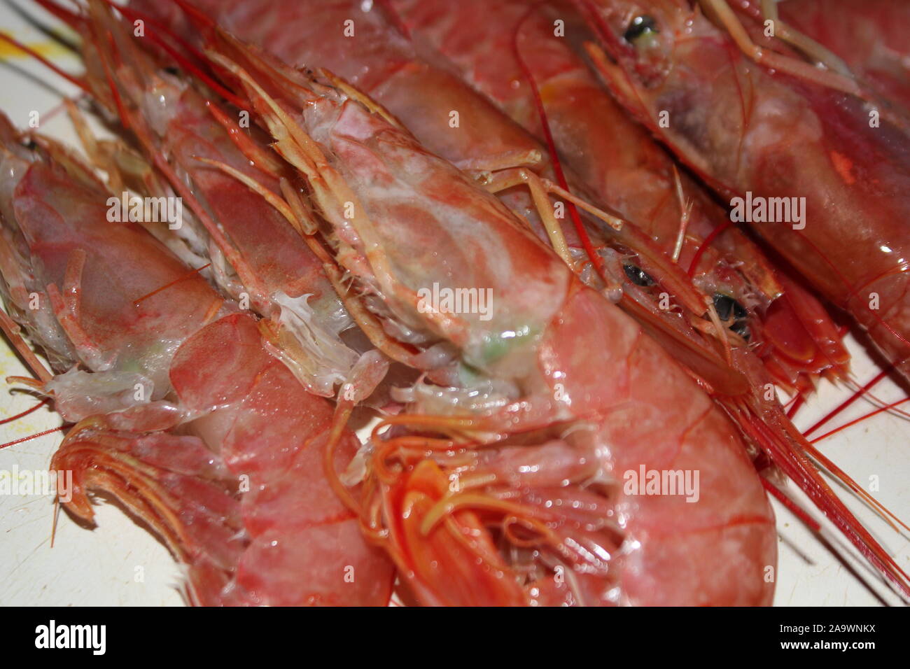Crevettes rouges frais poissons mer italienne de droit Banque D'Images