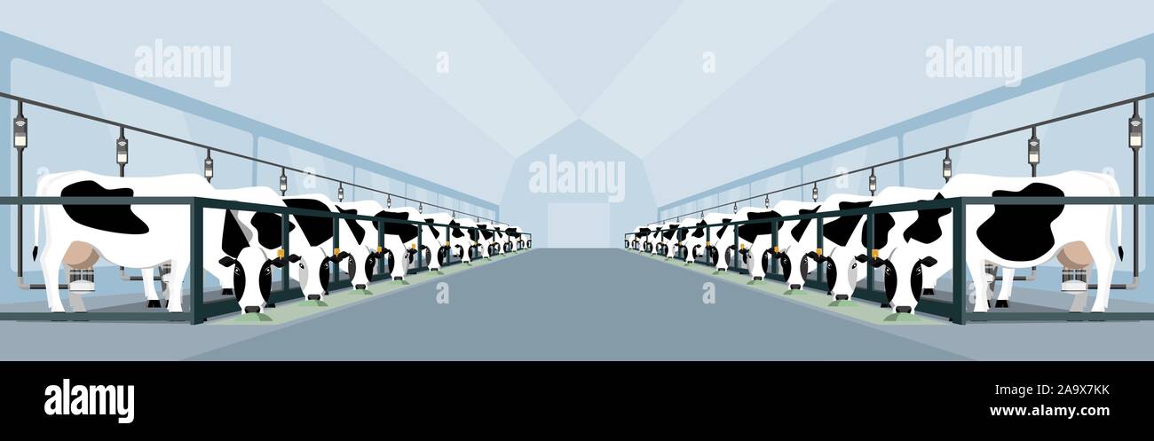 Ferme laitière moderne. La traite automatisée et intelligente de l'agriculture. Illustration vecteur EPS 10 Illustration de Vecteur