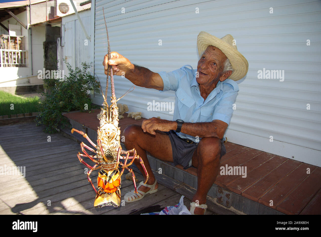 Karibik, Französiche Antillen, Guadeloupe, Les Saintes, Terre de haut, Fischer mit Languste gleichnamigen im Ort der Insel Banque D'Images