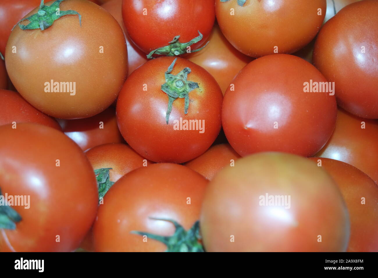 Vue rapprochée de la tomate rouge en rouge dans le panier de marché pour la vente. Fruit d'un contexte pour le texte et les annonces Banque D'Images