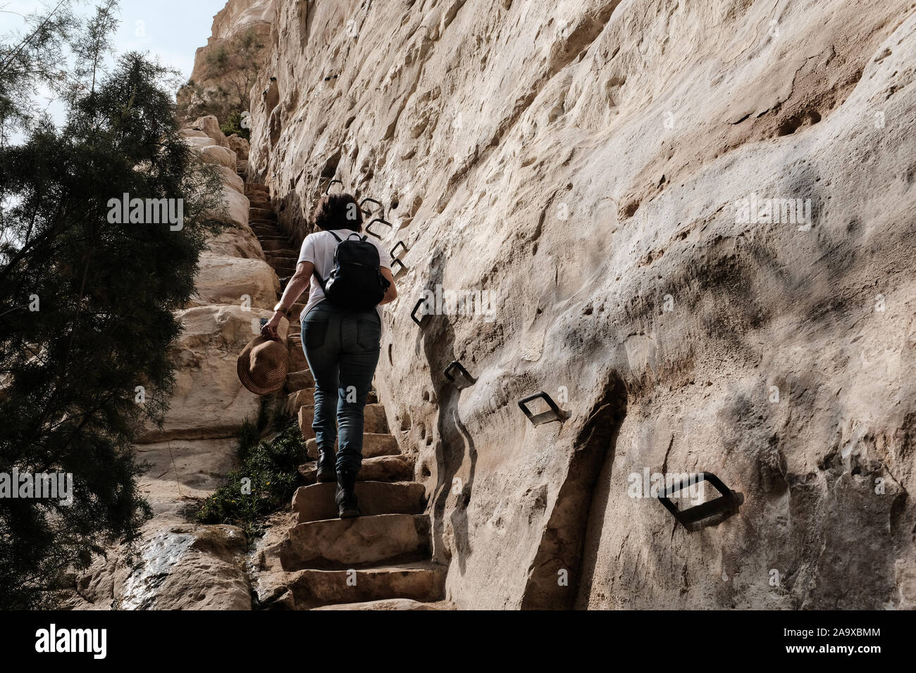 Ein Avdat National Park, Israël. 15 novembre, 2019. Une vue de la rivière Tzin à Ein Avdat National Park, une oasis naturelle de désert israélien du Néguev. Credit : Alon Nir/Alamy Live News. Banque D'Images