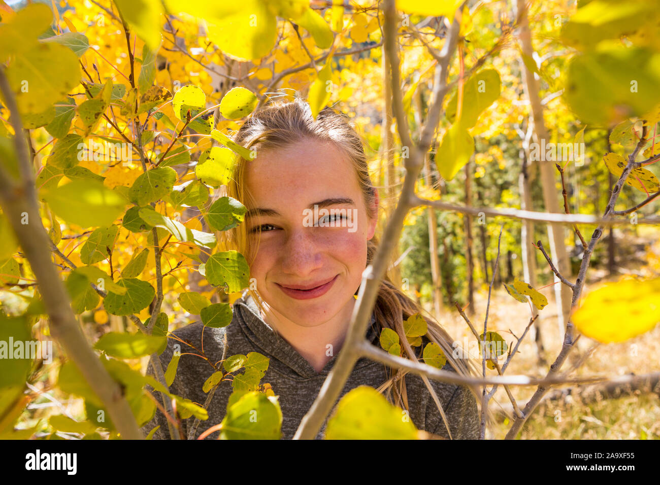 Portrait of a 13 ans, fille de se cacher derrière l'automne les feuilles de tremble Banque D'Images
