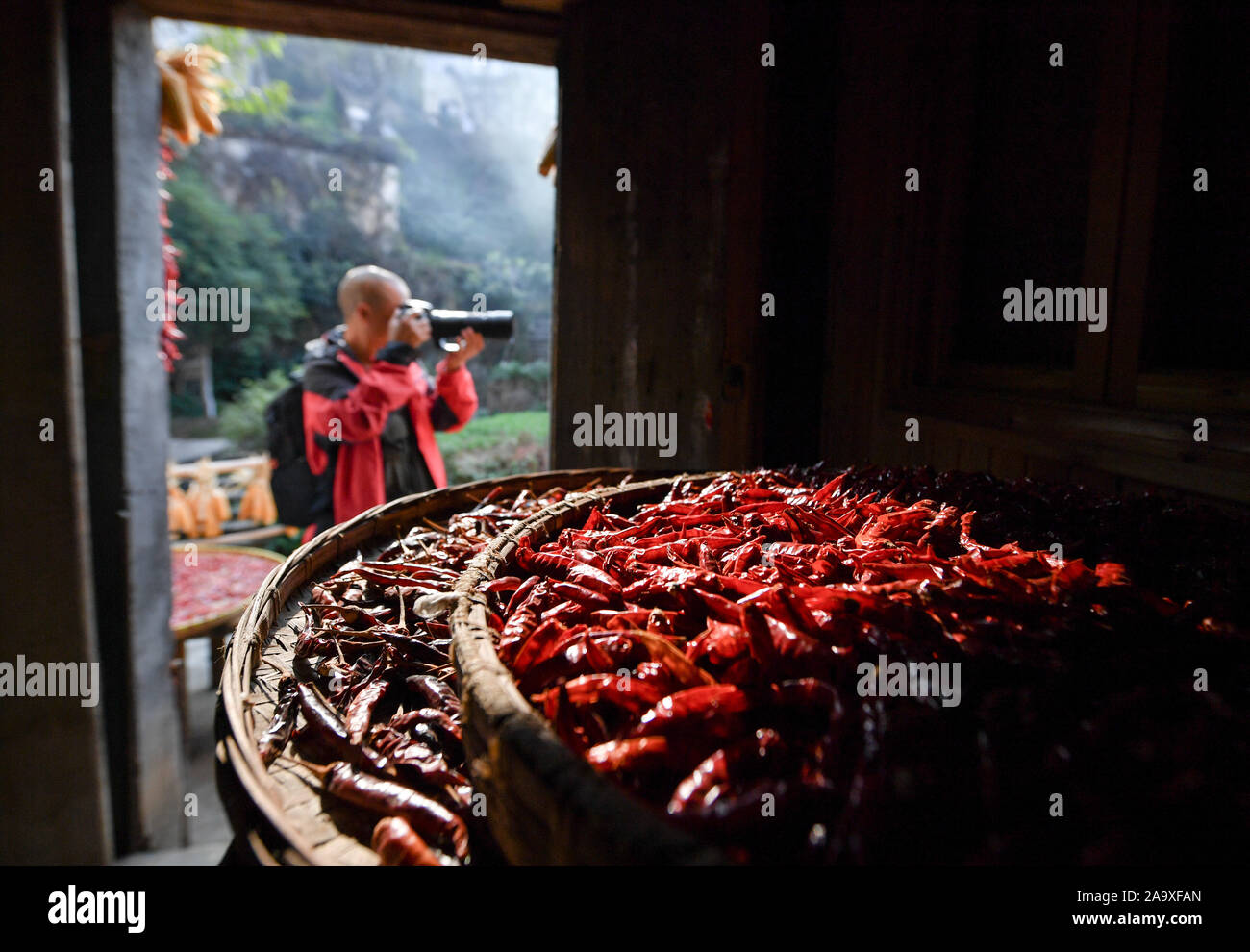 (191118) -- WUYUAN, 18 novembre 2019 (Xinhua) -- Cao Jiaxiang, un villageois photographe, prend des photos à l'extérieur d'une maison à Huangling Village de Wuyuan County, province de Jiangxi en Chine de l'Est, le 6 novembre 2019. Cao Jiaxiang, un agriculteur âgé de 44 ans, est tombé en amour avec la photographie en 1993 quand il achète son premier appareil photo. A démissionné de travailler en 2012, il devient photographe un villageois qui a été peu à peu d'enregistrement pendant des années sa bien-aimée ville natale, Huangling Village de Wuyuan County dans l'est de la Chine, la province de Jiangxi. Les photos qu'il a prises, distribué et a salué en ligne, est devenu un nom de carte de Wuyuan. (Xinhua/H Banque D'Images