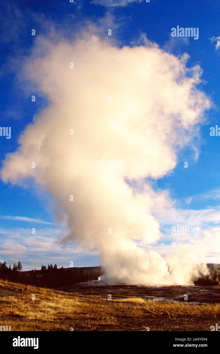 Geyser Old Faithful Geyser bricht aus ; Old Faithful éclate ; NP Yellowstone, Wyoming, USA Banque D'Images