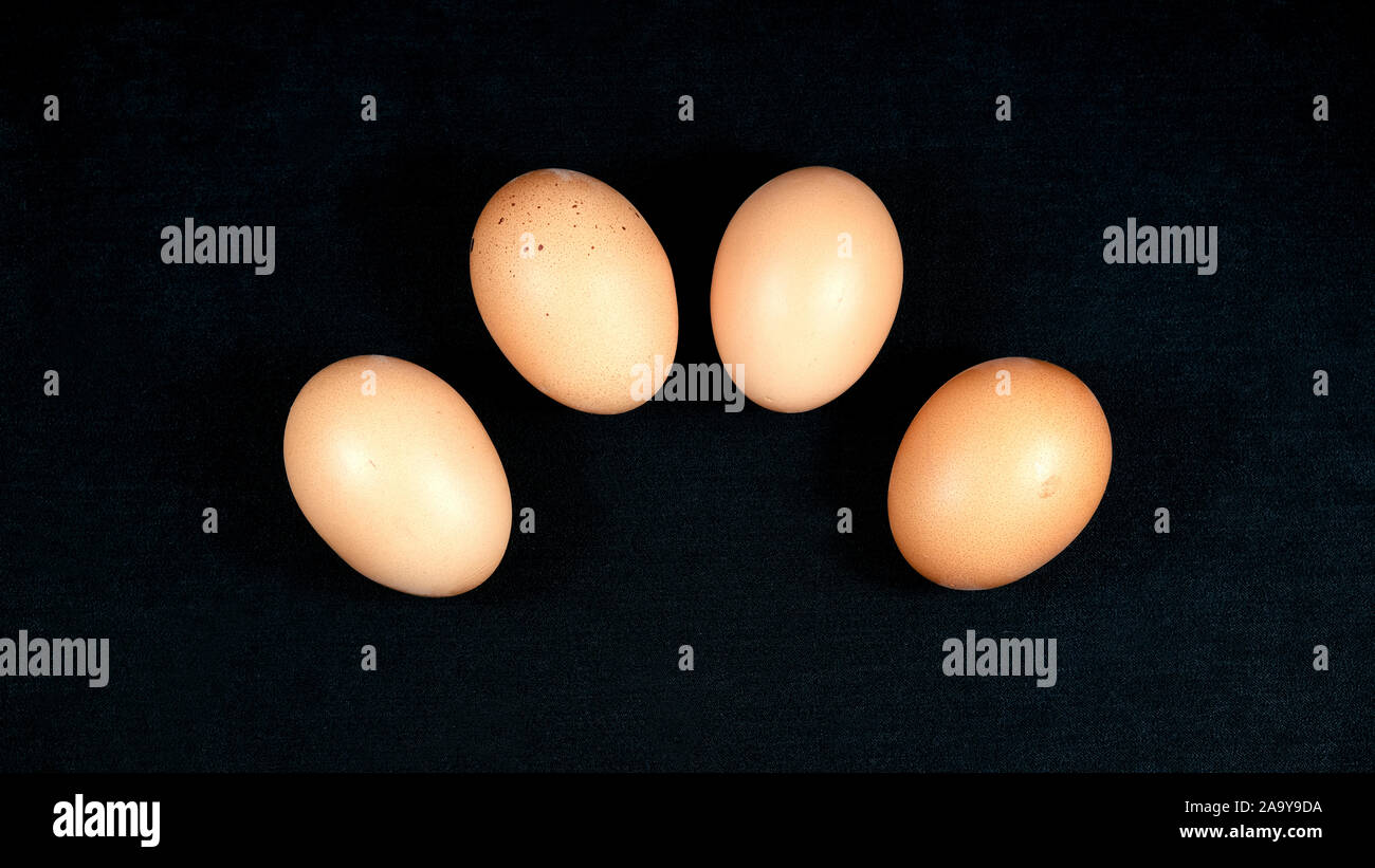 Oeufs sur fond noir Banque D'Images