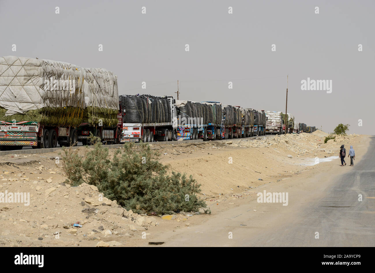 L'Egypte, l'oasis Farafra, truck transport des pommes de terre et de foin pour l'exportation des fermes du désert / AEGYPTEN, Farafra, LKW transportiert Heu Kartoffeln und von Wuestenfarmen fuer den Export Banque D'Images