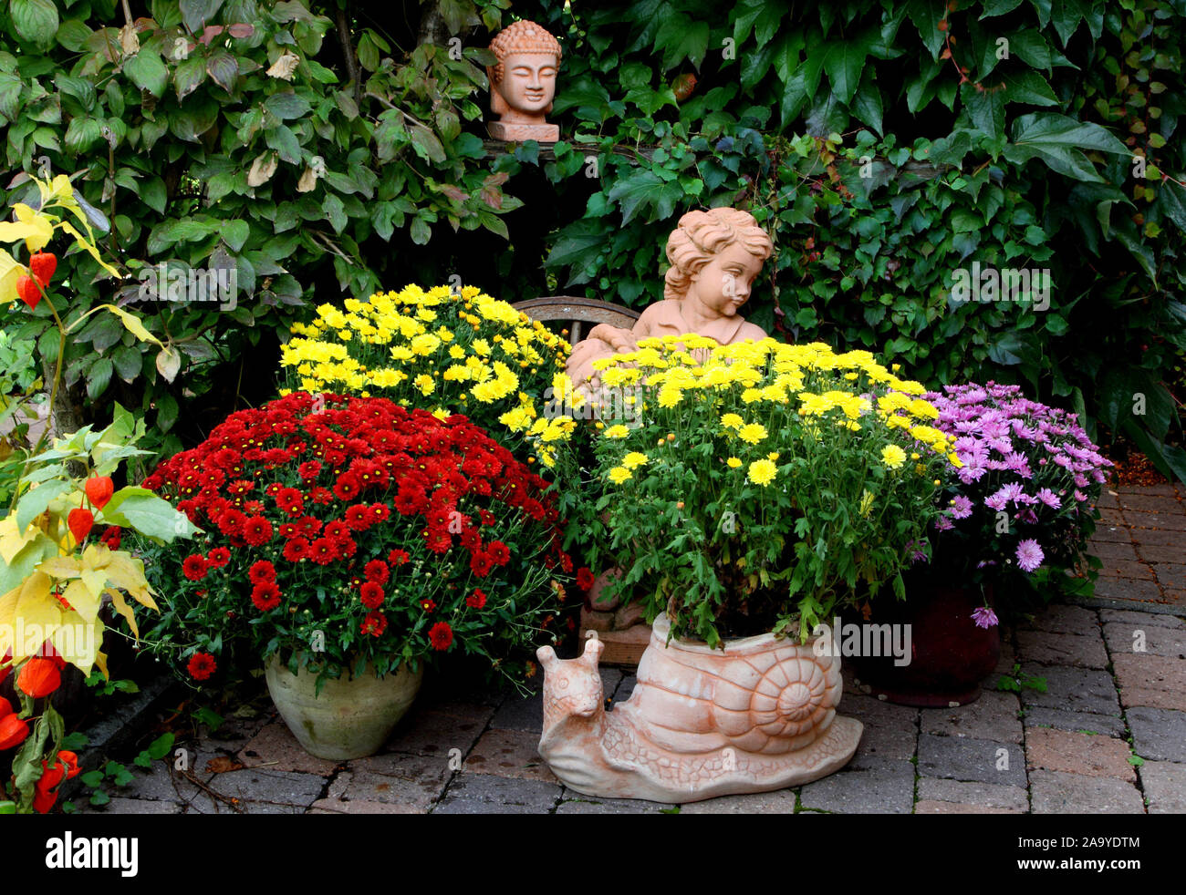 Gartenfigur mit verschiedenen Chrysanthemen Banque D'Images