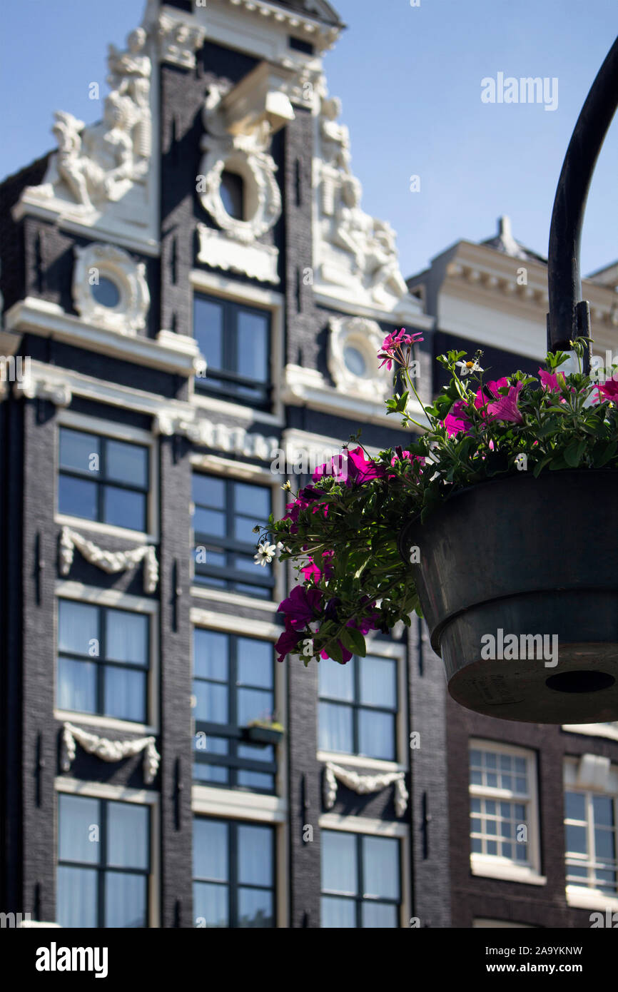 Vue rapprochée de pot de fleurs avec, traditionnelle, historique bâtiments typiques dans l'arrière-plan. Il s'agit d'une journée ensoleillée. Banque D'Images