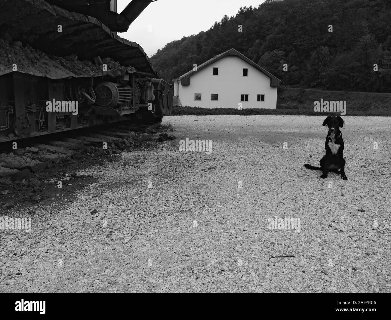 Balbiana 700 SCHAUFELRADBAGGER . Roue-PELLE BUCKKET Banque D'Images