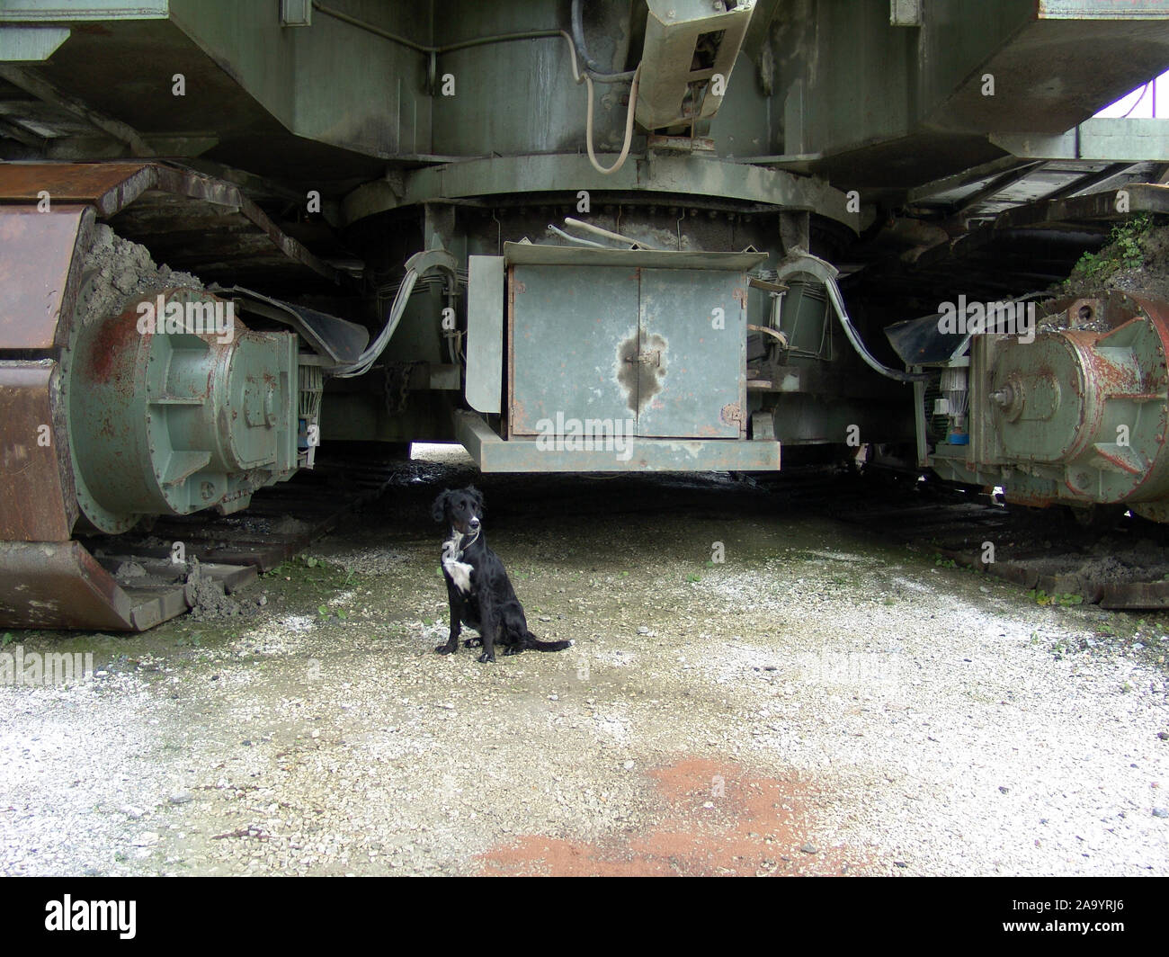 Balbiana 700 SCHAUFELRADBAGGER . Roue-PELLE BUCKKET Banque D'Images