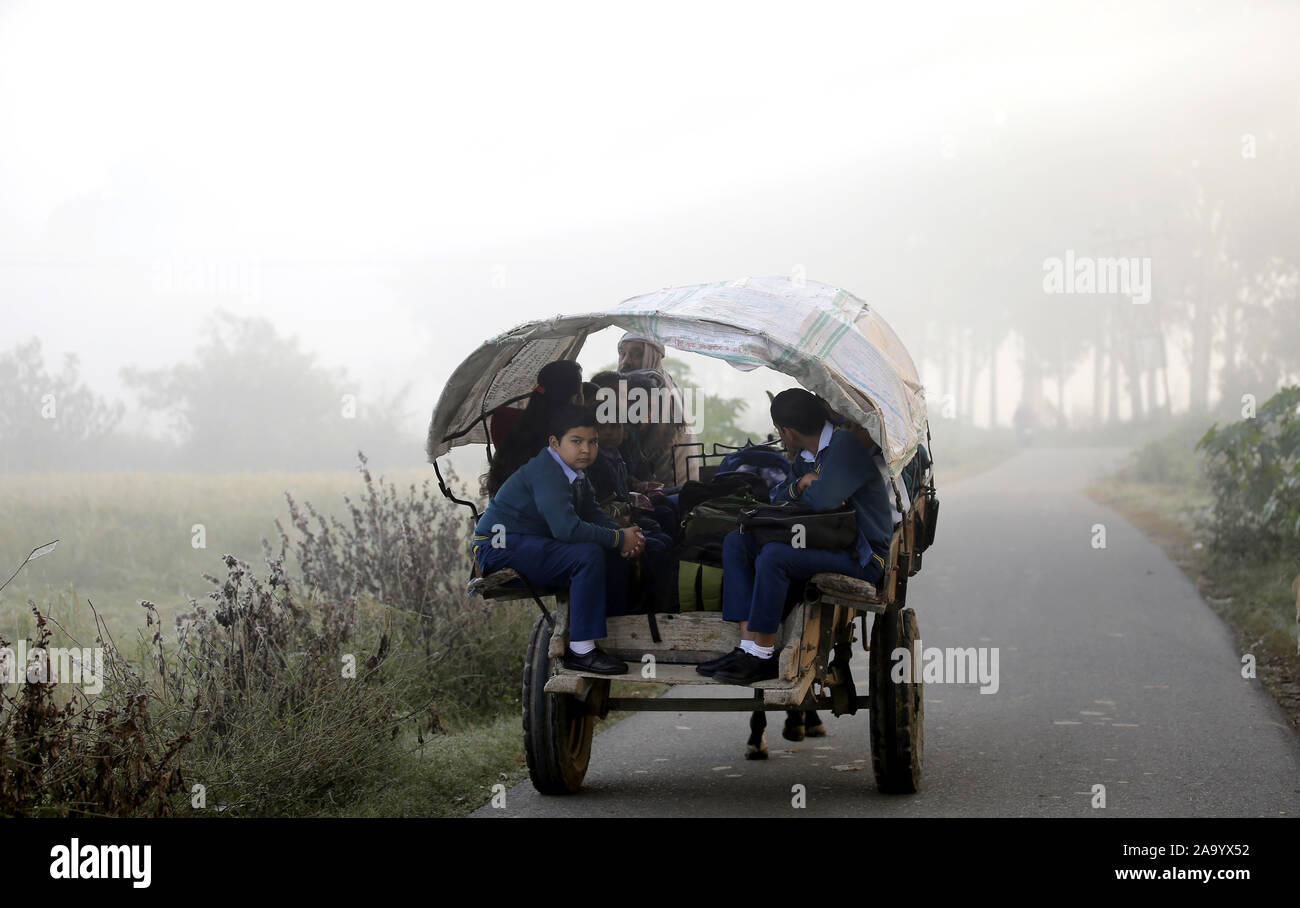 Jammu-et-Cachemire sous contrôle indien. 18 Nov, 2019. Les gens monter un cheval-driven panier au milieu d'un épais brouillard à la périphérie de Jammu, capitale d'hiver du Cachemire sous contrôle indien, le 18 novembre, 2019. Credit : Str/Xinhua/Alamy Live News Banque D'Images