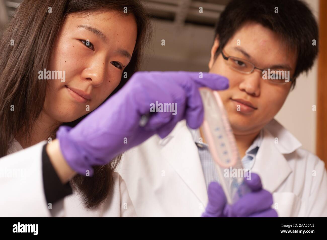 Deux chercheurs portant des manteaux blancs et des gants de manipuler un tube à essai dans un laboratoire de l'Université Johns Hopkins de Baltimore, Maryland, le 30 janvier 2009. À partir de la collection photographique de Homewood. () Banque D'Images