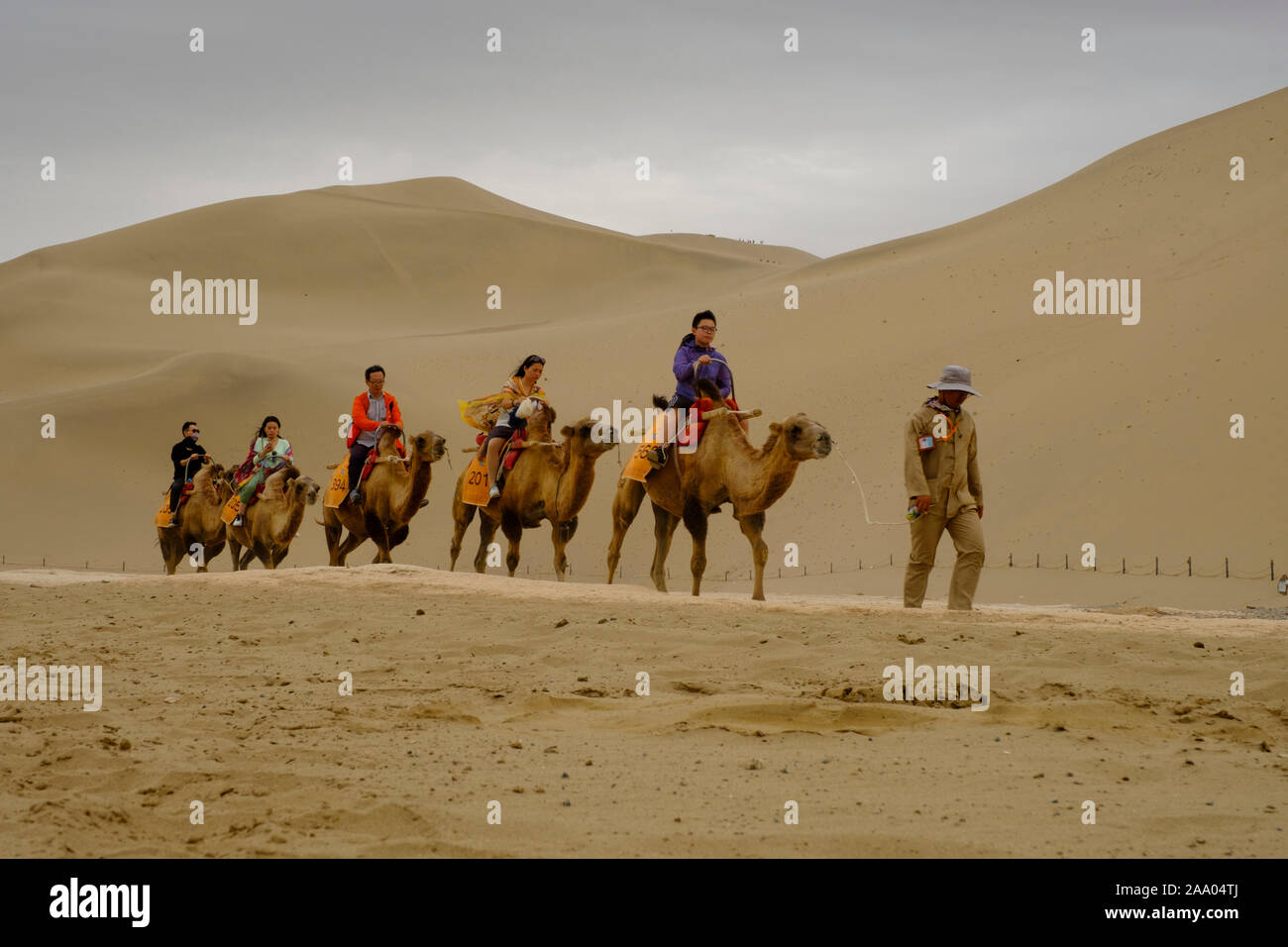Tourisme chinois sur un tour de chameau dans le désert de dunes de sable chant Mingsha Banque D'Images