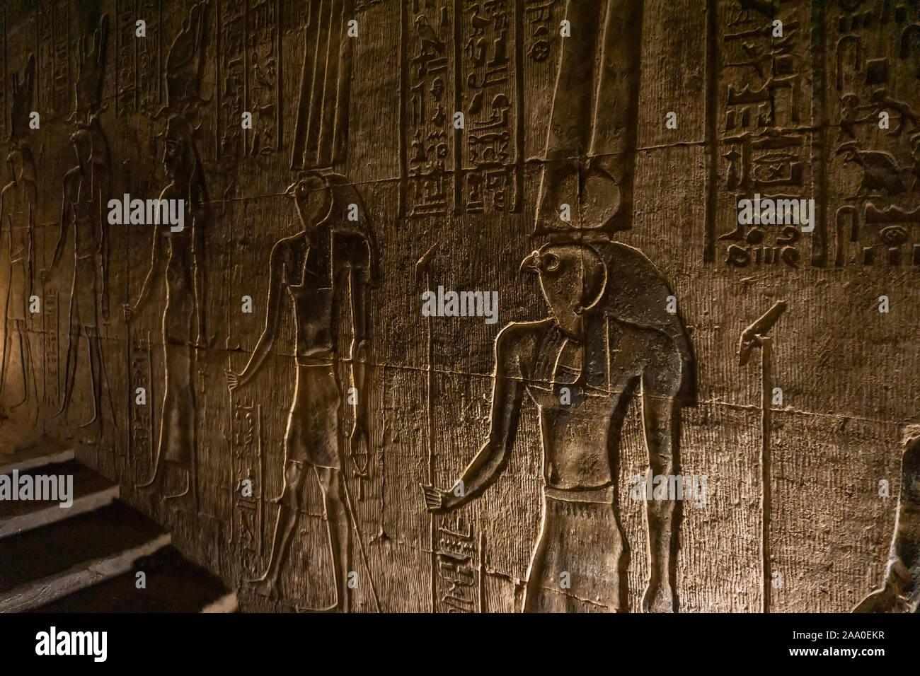 Sculptures hiéroglyphiques dans ancien temple Banque D'Images