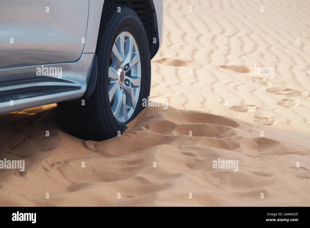 Roue de voiture dans les sables bitumineux. Banque D'Images