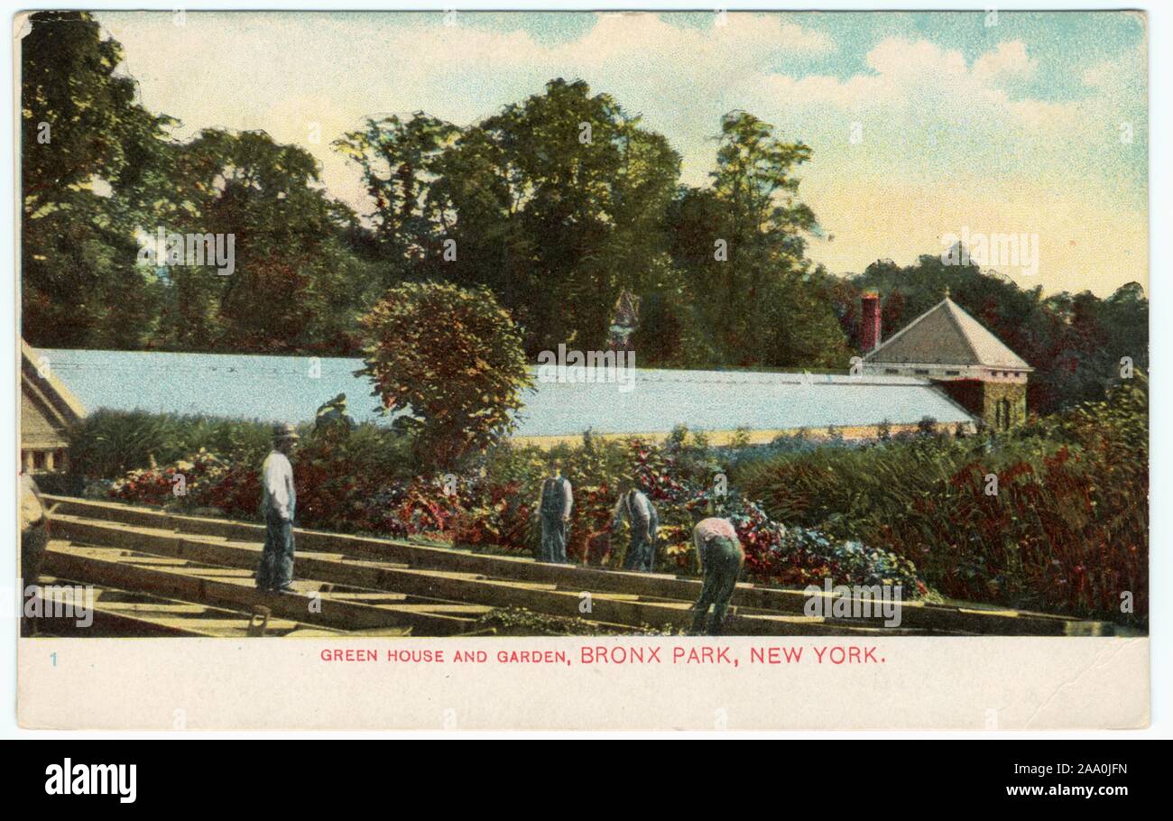Carte postale illustrée d'une serre et jardin, Bronx, New York City, 1909. À partir de la Bibliothèque publique de New York. () Banque D'Images