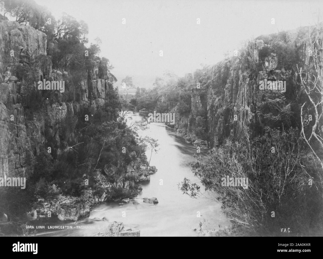Paysage noir et blanc photographie de la gorge Corra Linn sur le North Esk River près de Launceston, Tasmanie, Australie, par le photographe Frank Coxhead, 1885. À partir de la Bibliothèque publique de New York. () Banque D'Images