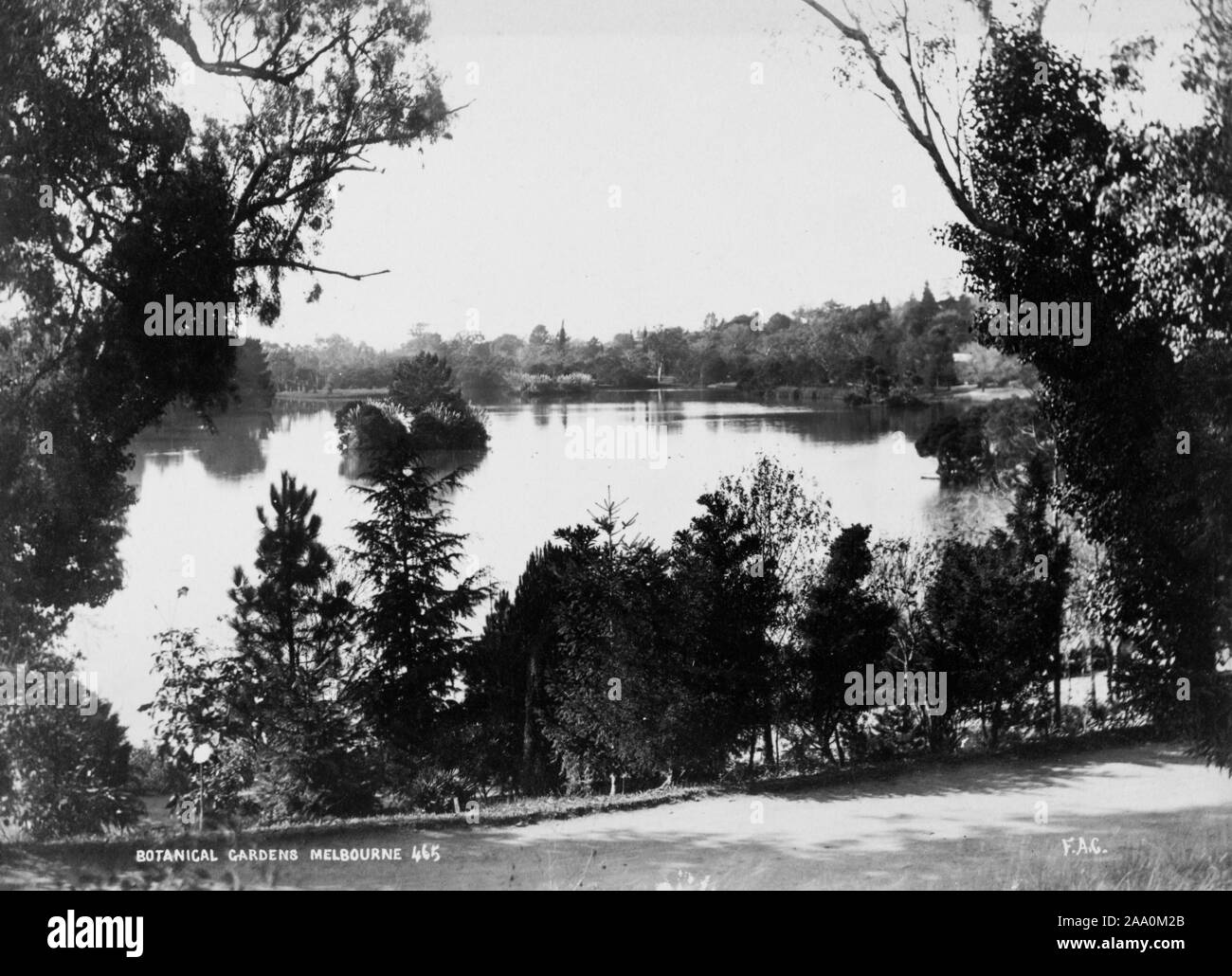 Paysage noir et blanc photographie d'une route par un lac entouré d'une végétation luxuriante, dans la région de Royal Botanic Gardens Victoria à Melbourne, en Australie, par le photographe Frank Coxhead, 1885. À partir de la Bibliothèque publique de New York. () Banque D'Images