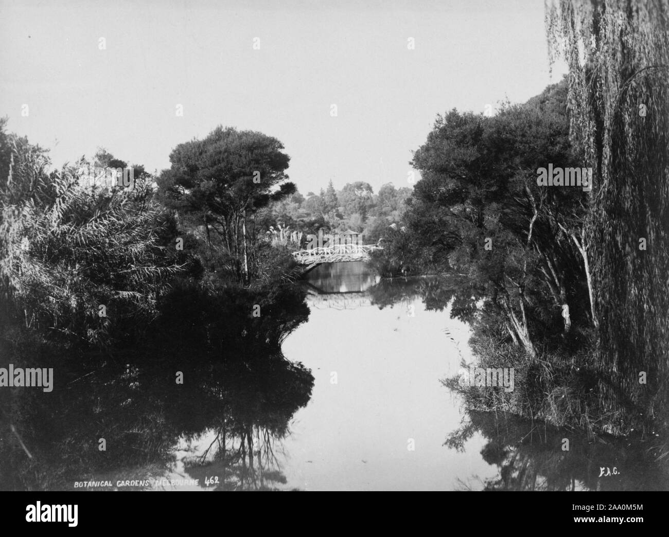 Photographie noir et blanc photographie de paysage d'un lac et un pont entouré d'une végétation luxuriante, dans la région de Royal Botanic Gardens Victoria à Melbourne, en Australie, par le photographe Frank Coxhead, 1885. À partir de la Bibliothèque publique de New York. () Banque D'Images