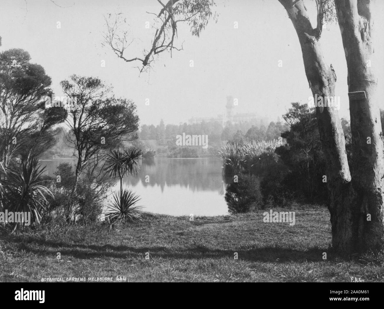 Paysage noir et blanc photographie d'un lac entouré d'une végétation luxuriante, dans la région de Royal Botanic Gardens Victoria à Melbourne, en Australie, par le photographe Frank Coxhead, 1885. À partir de la Bibliothèque publique de New York. () Banque D'Images