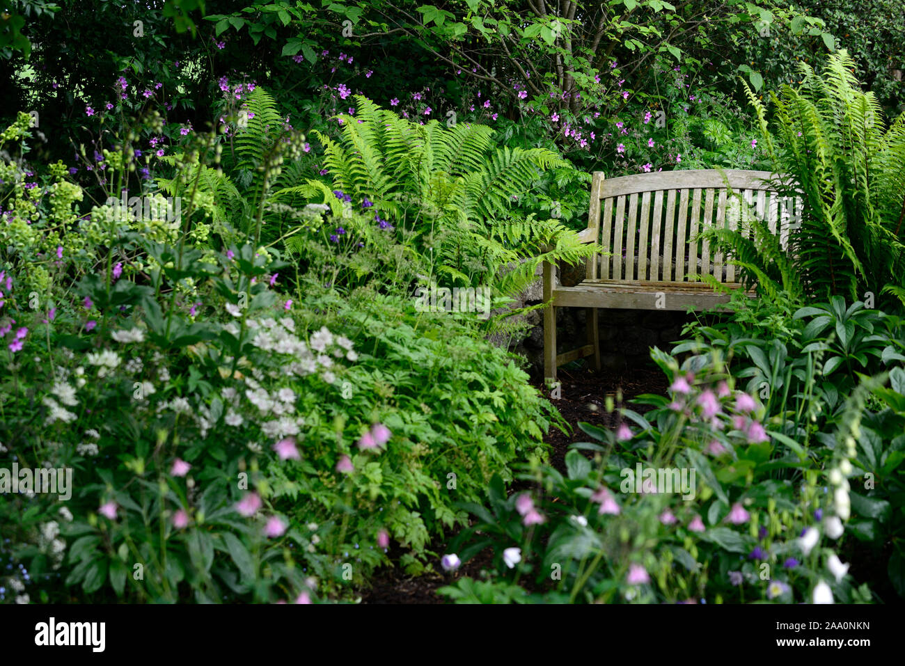 siège de jardin,sièges,protégé,caché,isolé,mystère,spot,espace,jardin,jardins,jardinage, Wicklow,RM Floral Banque D'Images