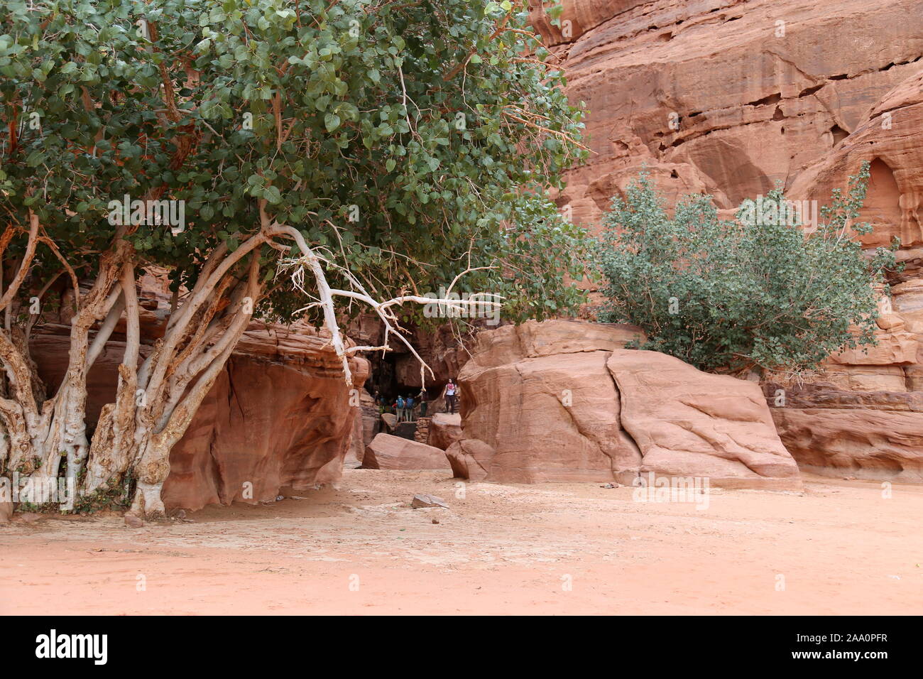 Canyon De Jabal Khazali, Zone Protégée De Wadi Rum, Gouvernorat D'Aqaba, Jordanie, Moyen-Orient Banque D'Images