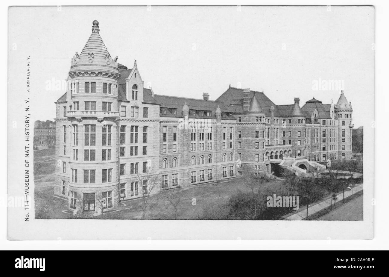 Carte postale gravé du Museum of Natural History, New York City, imprimé par J. Koehler, publié par l'illustre la carte postale, 1906. À partir de la Bibliothèque publique de New York. () Banque D'Images