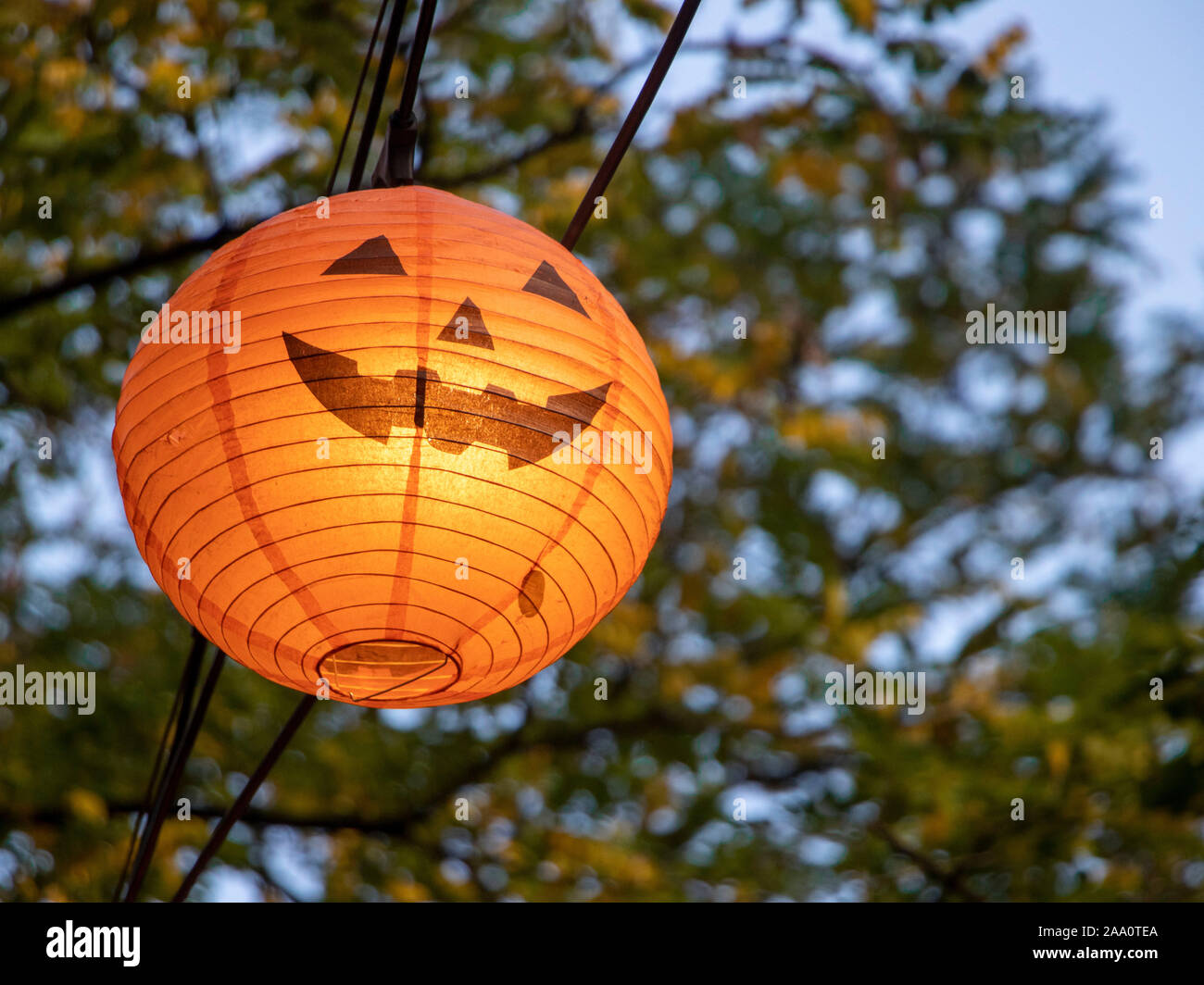 Lanternes en papier d'Halloween suspendues devant des arbres dans canal Street dans le village gay de Manchester UK Banque D'Images