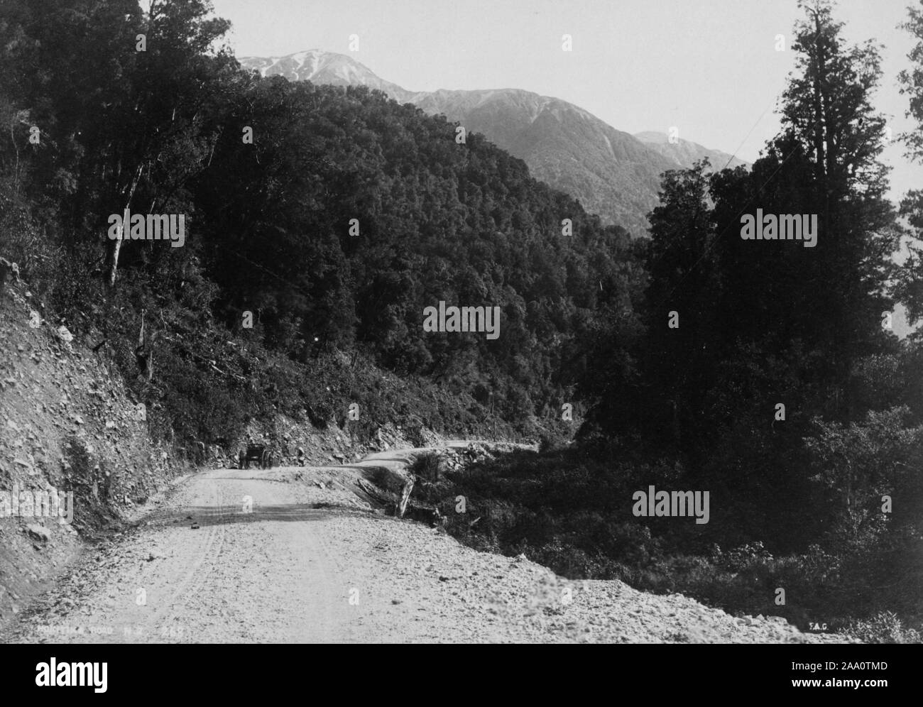 Photographie en noir et blanc d'un espace boisé et montagneux, une route menant à Hokitika, dans l'île du Sud, Nouvelle-Zélande, par le photographe Frank Coxhead, 1885. À partir de la Bibliothèque publique de New York. () Banque D'Images