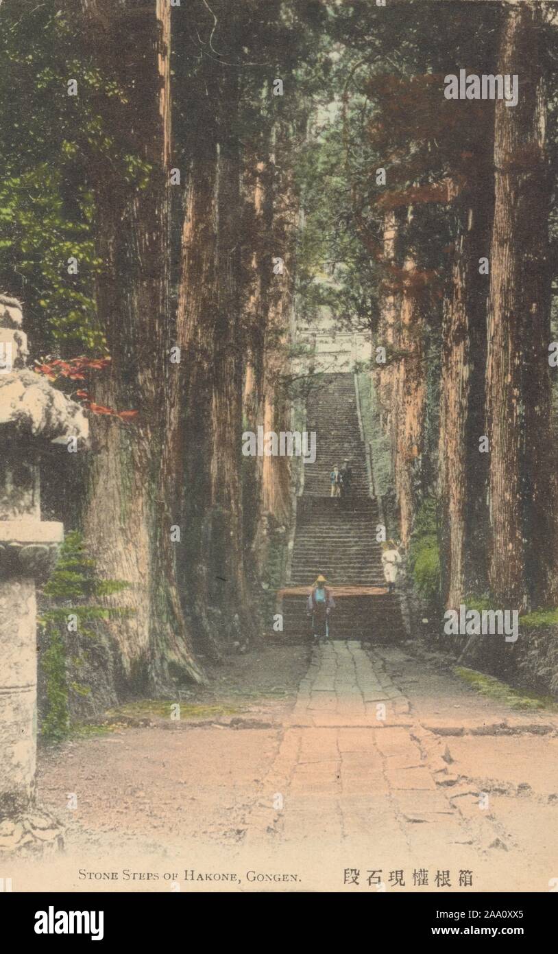 Carte postale illustrée d'une allée, avec du bois de cèdre de chaque côté, conduisant à l'escalier en pierre d'Hakone Shrine à Hakone, préfecture de Kanagawa, Japon, 1905. À partir de la Bibliothèque publique de New York. () Banque D'Images